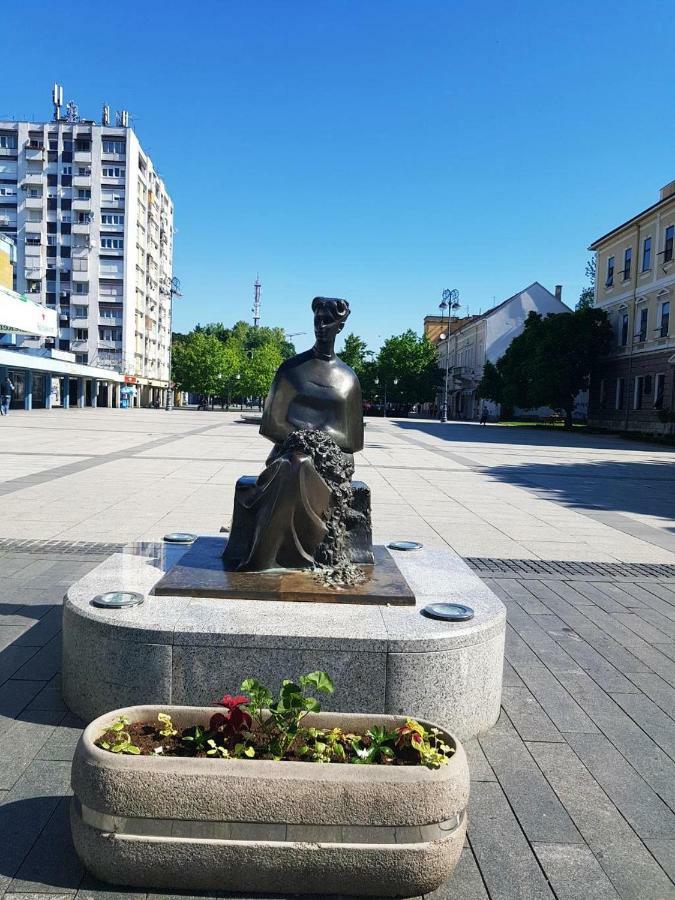 Apartment Lamar - Entry With Pin 0 - 24H, Underground Parking Garage, Elevator Slavonski Brod Buitenkant foto